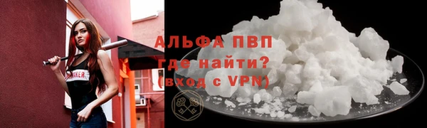 индика Верхний Тагил