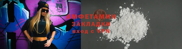индика Верхний Тагил