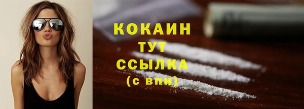 индика Верхний Тагил