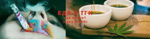 индика Верхний Тагил