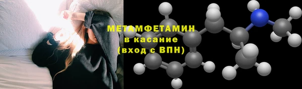 индика Верхний Тагил