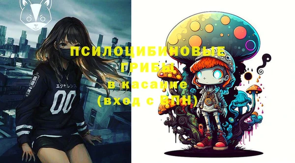 индика Верхний Тагил