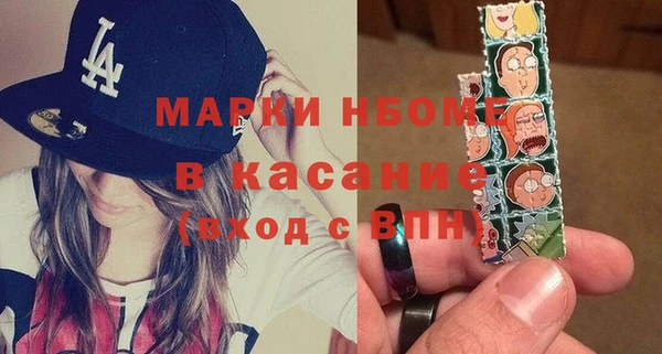 индика Верхний Тагил