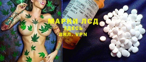 индика Верхний Тагил