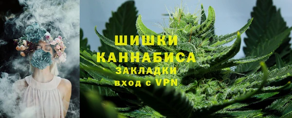 индика Верхний Тагил
