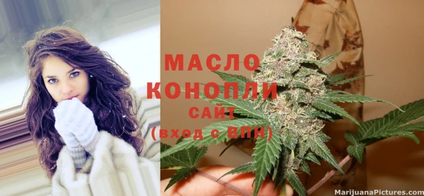 индика Верхний Тагил