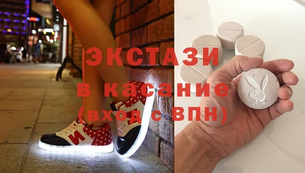 индика Верхний Тагил