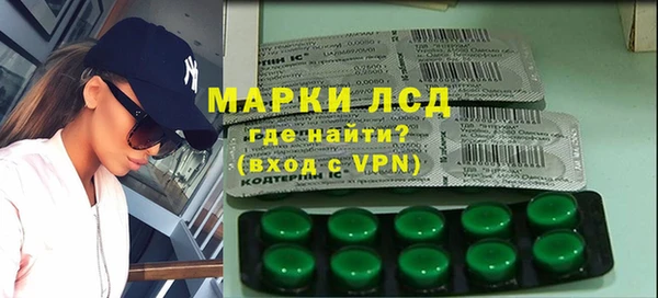 индика Верхний Тагил