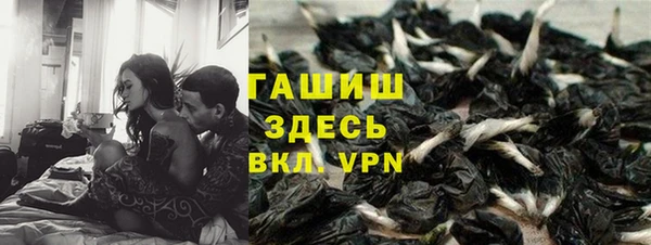 индика Верхний Тагил