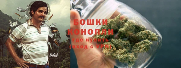 индика Верхний Тагил